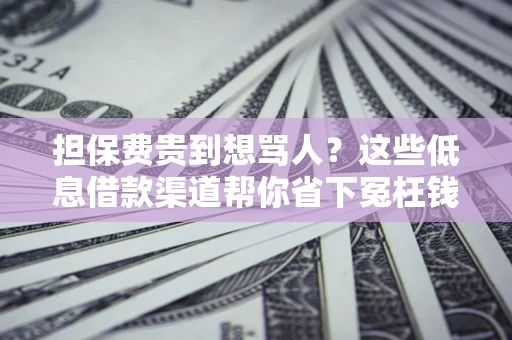 北京担保费贵到想骂人？这些低息借款渠道帮你省下冤枉钱