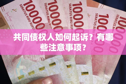 北京共同债权人如何起诉？有哪些注意事项？